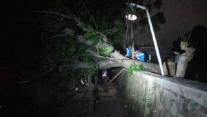 Angin Kencang: Imbauan BPBD Kota Bekasi kepada Masyarakat