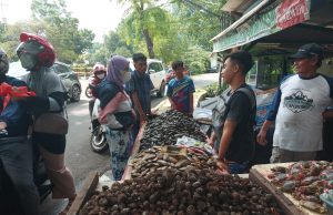 Menengok Pedagang Kerang di Bekasi Kewalahan Layani Pembeli Menjelang Tahun Baru
