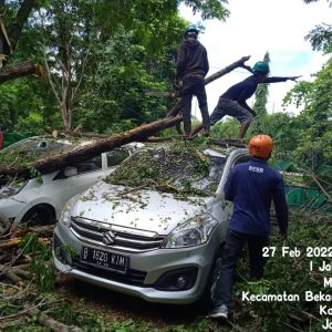 Angin Kencang, 2 Mobil Tertimpa Pohon Tumbang di GOR Bekasi