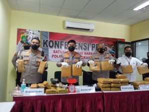 Polres Bekasi Ungkap Kasus Narkoba, Sita 31 Kg Ganja