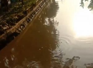 Warga Heboh Tangkap Ikan Hingga Kura-kura di Kali Medansatria