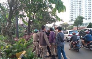Satpop PP Amankan Anak Punk di Jalan, Mulutnya Bau Alkohol