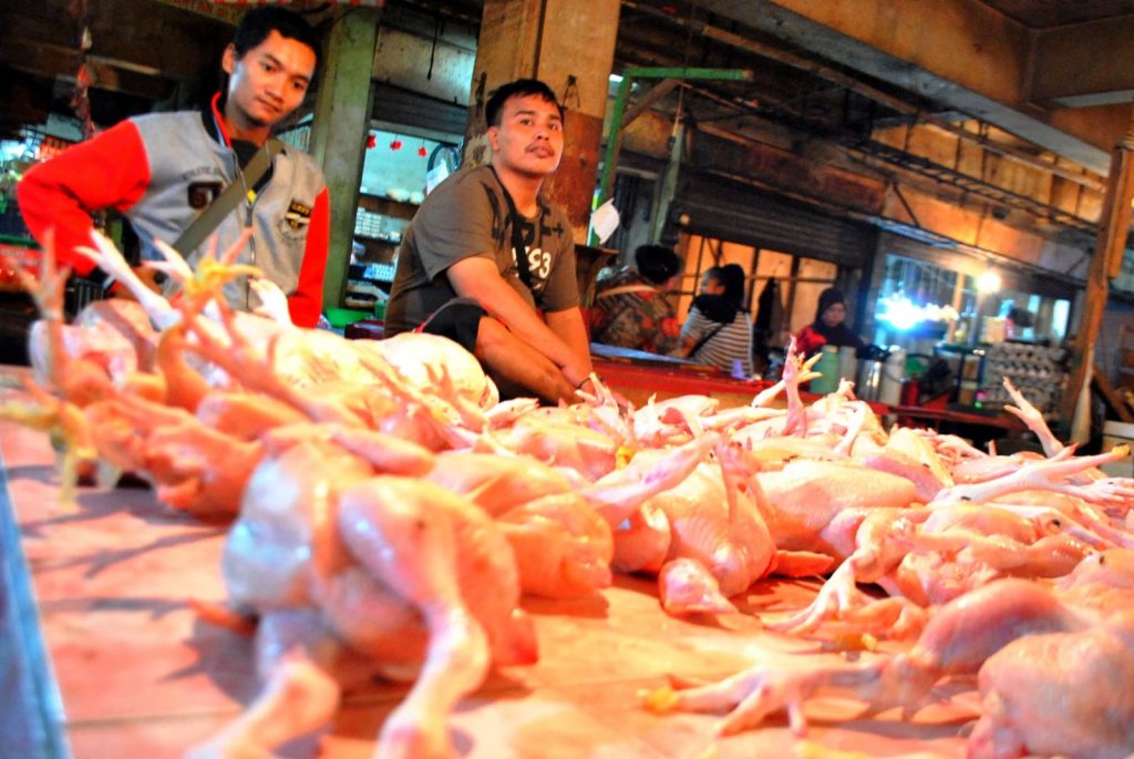 harga daging ayam