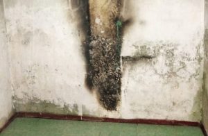Pria di Kabupaten Bekasi Tewas Setelah Nekat Bakar Diri