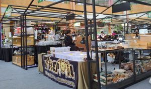 Berwisata Mengenal Beragam Hewan Reptil di ‘Planimals Exhibition’ Bekasi