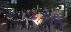 Ular Sanca Enam Meter Dievakuasi di Bekasi Timur