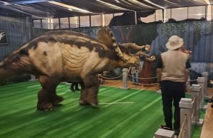 Serunya Berkunjung ke Dino Island di Bekasi