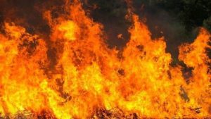 Pabrik Bingkai Kayu di Kabupaten Bekasi Ludes Terbakar