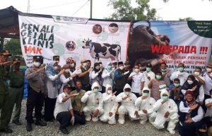 Kabupaten Bekasi Targetkan Vaksinasi PMK 1.700 Ekor Sapi, Baru Terealisasi Segini