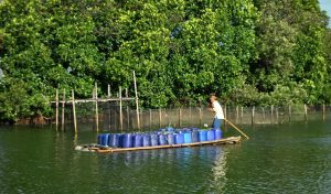 Pemkab Bekasi Berencana Manfaatkan Air Hujan untuk Kebutuhan Masyarakat
