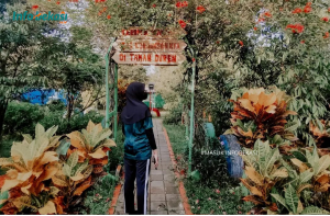 Serunya Berkunjung ke Taman Duren: Bangkitnya Durian Setu