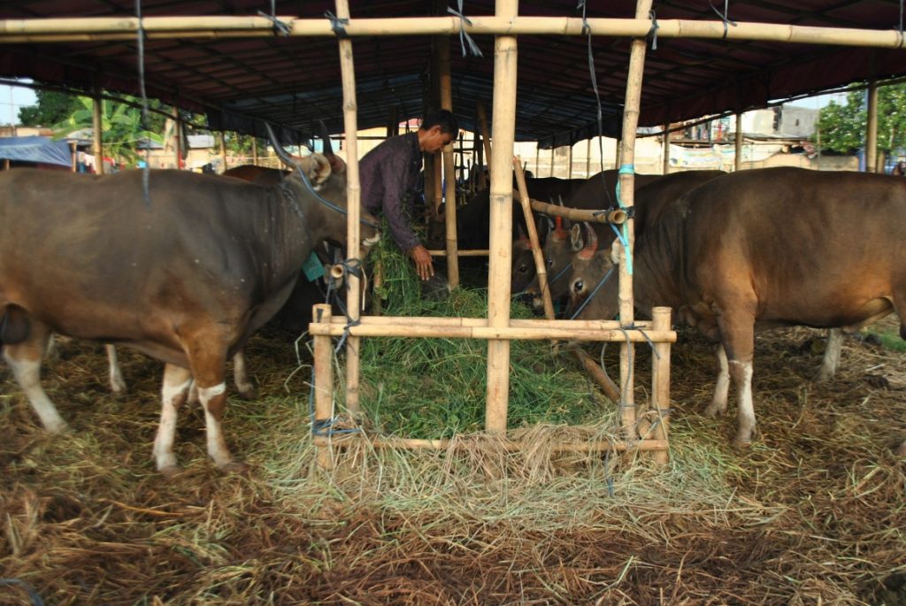 dokumen kesehatan