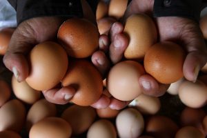 Dana BTT Kabupaten Bekasi Bakal Digunakan untuk Atasi Kenaikan Harga Barang