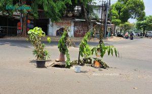 Penutup Saluran di Simpang SMP 2 Hilang Dicuri