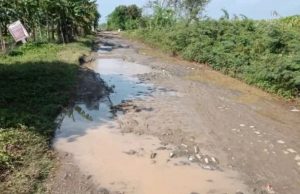 Potret Jalan Utama Penduduk 3 Desa di Bekasi Bagian Utara
