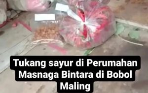 Pencuri Kuras Isi Warung di Bintara: Dari Kerupuk Hingga Sayuran