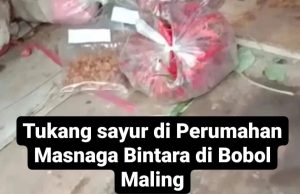 Pencuri Kuras Isi Warung di Bintara: Dari Kerupuk Hingga Sayuran