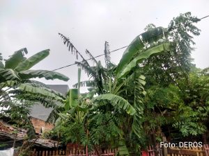 Cuaca Ekstem Musim Penyakit, Warga Bekasi Memilih Berdiam di Rumah