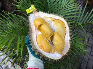 Rekomendasi Makan Durian Bawor di Bekasi