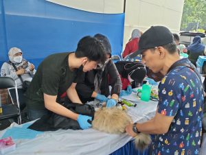 Pemkot Bekasi Gelar Vaksinasi Rabies Hewan Peliharaan