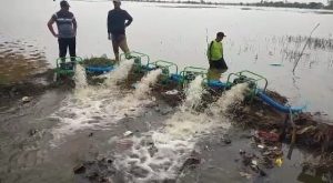 Kementan Distribusikan Benih Padi kepada Petani Terdampak Banjir di Bekasi