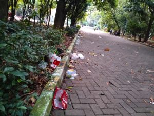 Hutan Kota Bekasi Kumuh, Banyak Nyamuk dan Sampah Berserakan di Jalan