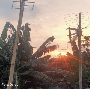 Daun Pisang Bikin Nasi Timbel Buat Piknik Lebaran
