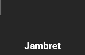 Jambret Bawa Kabur 2 HP di BKT Harapan Indah