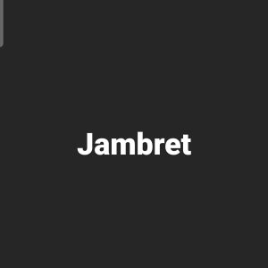 Jambret Bawa Kabur 2 HP di BKT Harapan Indah