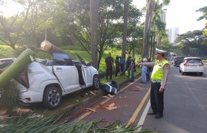 Hyundai Tabrak Pohon Palm Hingga Roboh di Cikarang