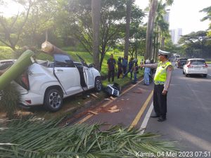 Hyundai Tabrak Pohon Palm Hingga Roboh di Cikarang