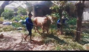 Sang Penjagal Hewan dari Bekasi Utara