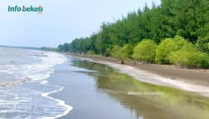 Pantai Beting Muara Gembong, Timbul Saat Surut Tenggelam Saat Pasang