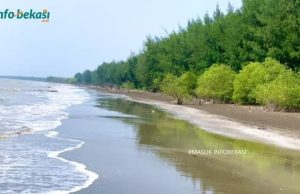 Pantai Beting Muara Gembong, Timbul Saat Surut Tenggelam Saat Pasang