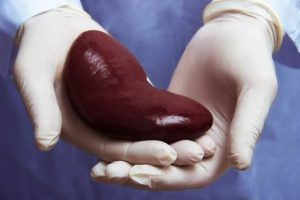 Kasus Perdagangan Organ Ginjal di Bekasi, Ini Kata Ketua RT Setempat