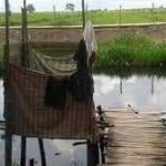 FB_IMG_1688411884182