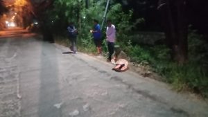 Begal Bawa Kabur Motor di Alinda, Pemotor Loncat ke Semak Pinggir Kali