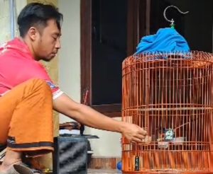 Ini Kebiasaan Kicau Mania Saat Waktu Senggang