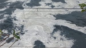 Mengenal Klorin, Zat Kimia di Aliran Kali Bekasi