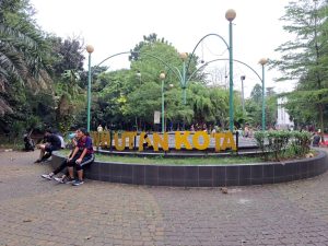 Hutan Terluas di Pusat Kota Bekasi Jadi Pilihan Warga “Healing” Paru-paru