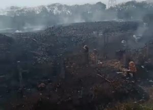 Damkar Imbau Jangan Sembarangan Buang Puntung Rokok, Ini Alasannya