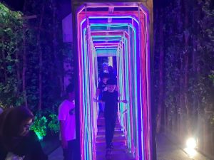 Yupi Rainforest: Tempat Bermain Menantang yang Cocok untuk Keluarga dan Anak-Anak