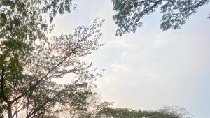 Kualitas Udara di Bekasi Membaik