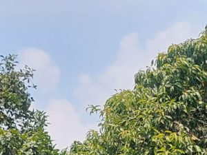Prediksi BMKG: Cuaca Bekasi Hari Ini Cerah Berawan Sepanjang Hari