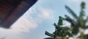 Udara Bekasi Pagi Ini Sejuk, Cuaca Sempat Gerimis Tipis di Kaliabang Tengah