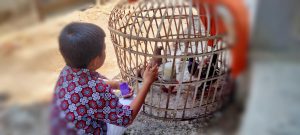 Bekasi punya Cerita, Penjual Burung Dara Zaman Kong Mail hingga Era Dikun
