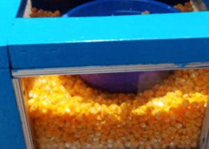 Jagung Cendil, Jajanan Jadul Legendaris yang Dirindukan