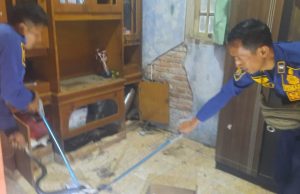 Belasan Ekor Ular Kobra Bersarang di Rumah Warga Setu Bekasi