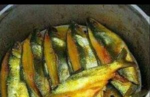 Ikan Cue Made In Jayalaksana, Upaya Dongkrak Perekonomian Warga Cabangbungin