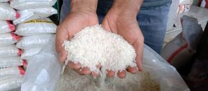 Konsumen Dibatasi Beli Beras 10 Kilo Per Hari, Ini Alasan Kadisperindag Kota Bekasi